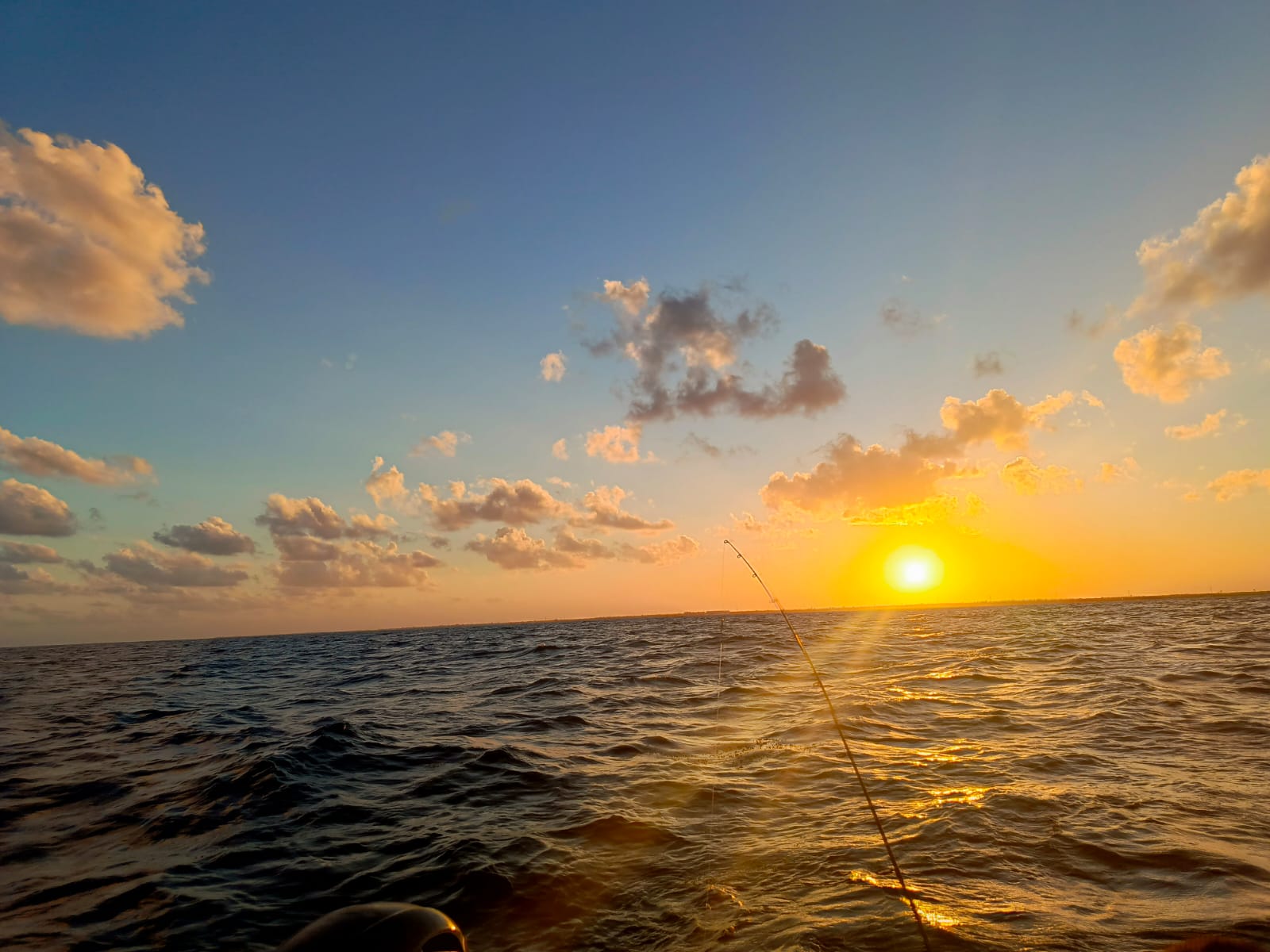 Recorrido en bote por Puerto Morelos
